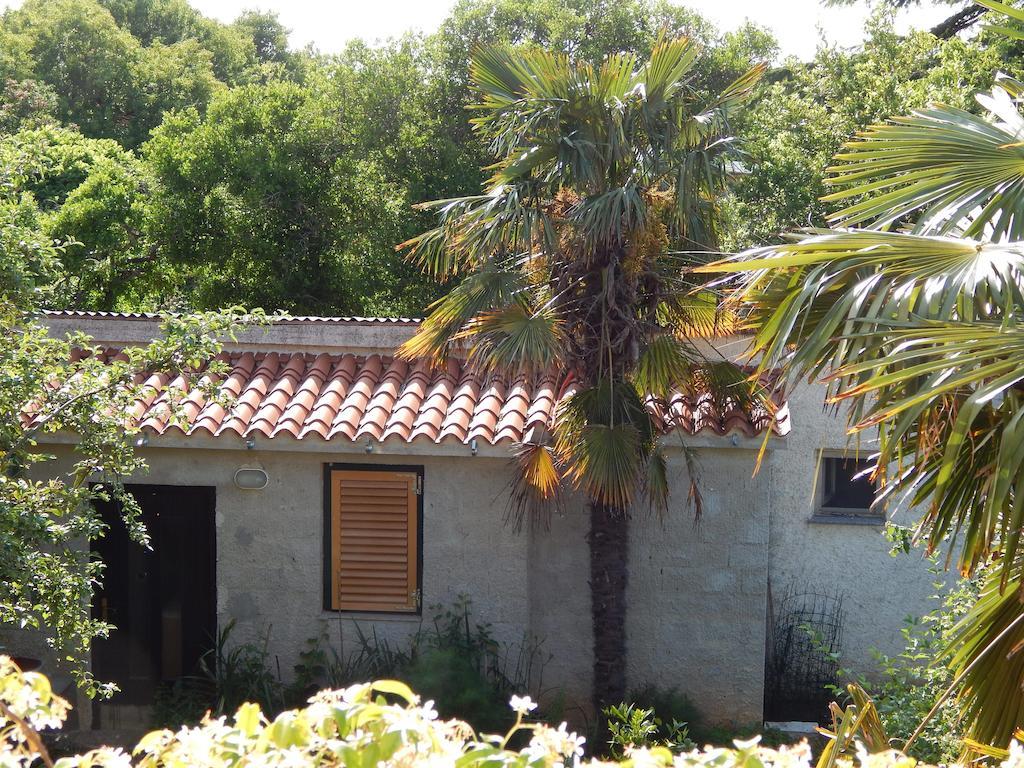 Tomato Apartment Pula