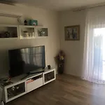 Apartment Zajec