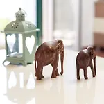 Apartment All For You - With A Swimming Pool