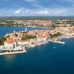 Vanda