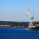 Tamy