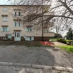 Apartment Andrea