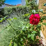 Apartment Rosse