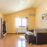 Apartman Stela