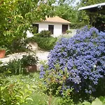 Holiday Home In Medulin/Istrien 9196