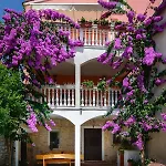 Apartments Salcinovic
