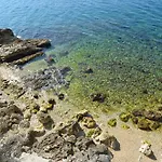 Grisia Apartments