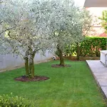Apartment Valbandon 3