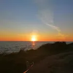 App Palcic K