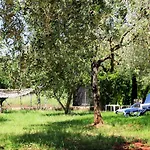 Oliven Garden
