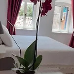 Comfortable Studio In Old Town