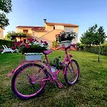 Apartment Branka