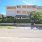 Roko
