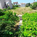 Apartment In Valbandon/Istrien 8608