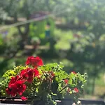 Apartman Dalija