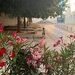 Feel The City Atmosphere Rovinj