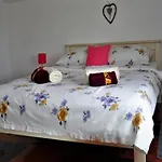 Apartment Belicka
