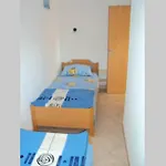 Apartment Celina