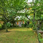 Apartment Majic