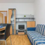 Nice Apartment In Rovinj With Wifi