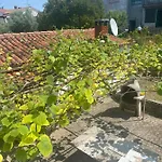 Apartman Nela