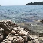 Heli Istra