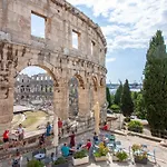 Superb Arena View