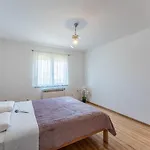 Apartment Darko