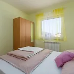 App Ruzica Finida