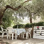 Fresh Apartment, Big Backyard And Free Parking