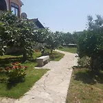 Apartment Siesta