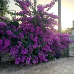Apartman Rio
