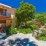 Apartments Branka