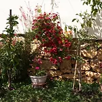 Apartment Vrsar 14164A