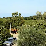 Apartment Novigrad 2536D