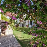 Apartment Pjescana Uvala 7349A