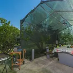 Apartments Saladinka