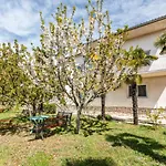 Apartments Villa Pavle