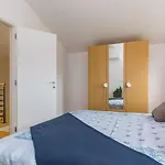 House May For Max 9 Persons With Pool And Garden
