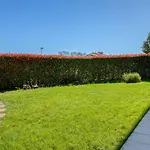 Nice Apartment Dana With Garden & Grill