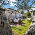 Lovely House With Garden Near City Centre