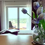 Apartman Studio