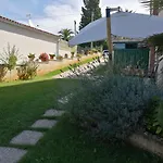 Apartment Violeta