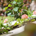 Apartment Kazalac Green Oasis