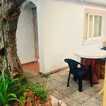 Olive Tree Apartments