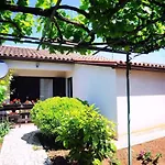 Apartment In Pula/Istrien 36865