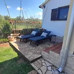 Kuca Broda
