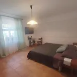 Apartman Brioni