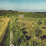 Villa Biba Ranch