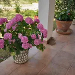 Angela